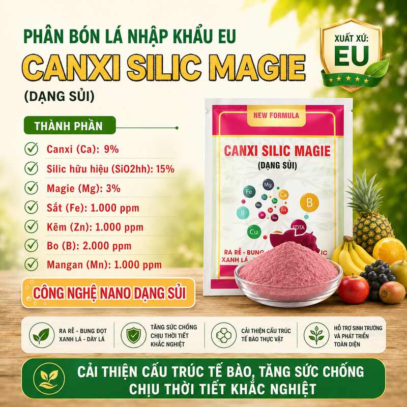 Canxi Silic Magie ( Dạng Sủi)