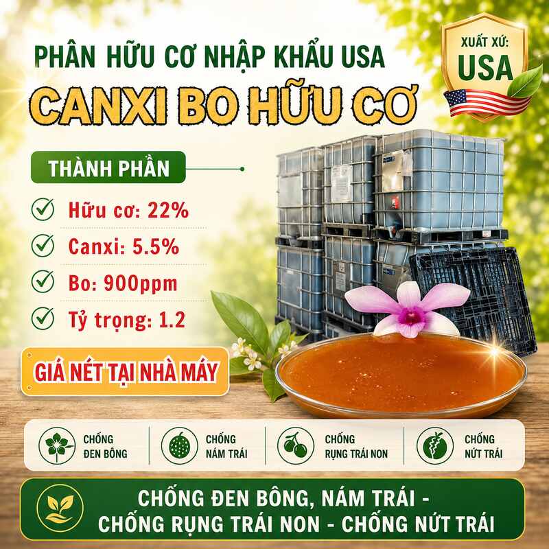Canxi Bo Hữu Cơ USA