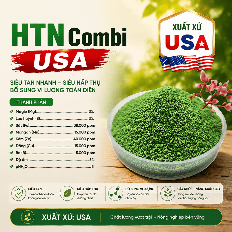 HTN Combi USA