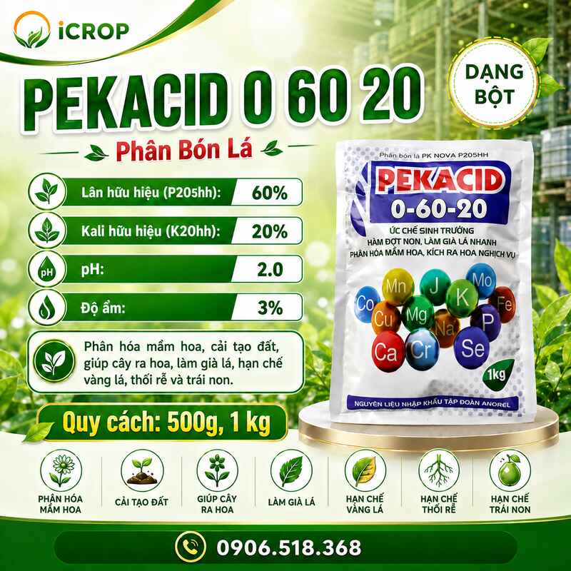Pekacid 0-60-20